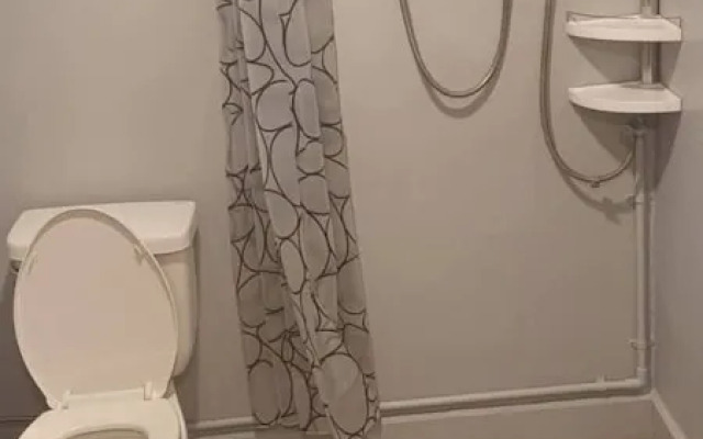 Crowd Free own Pace and Space