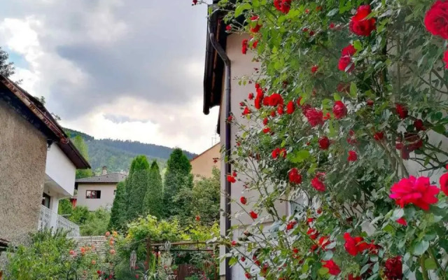 Modern&Cozy Bosnian house with GARDEN+FREE parking