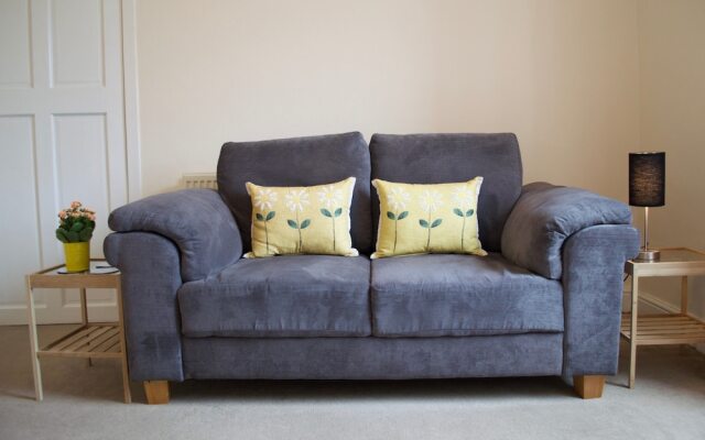 1 Bedroom Flat 15 Minutes From Edinburgh City Centre