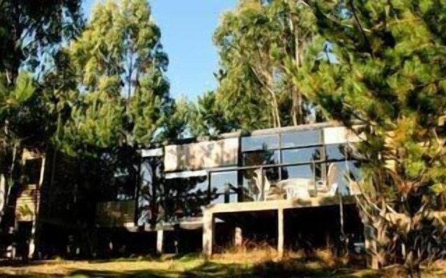 Surf Lodge Posada Punta de Lobos