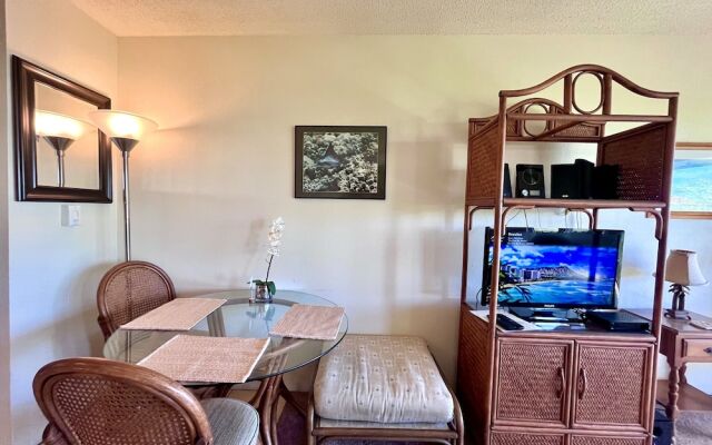 Kona Isle Oceanfront Condo w/ A/c!