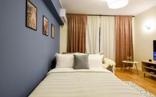 THE DREAM Apartment - Near Radisson Hotel