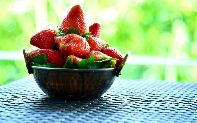 MERIDIAN AC VILLA - Besides Valley View & Strawberry Farms