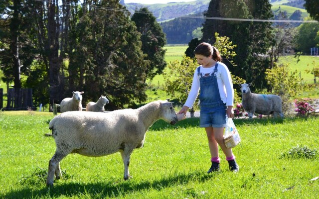 Catlins Gateway Motel
