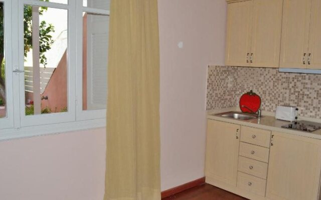Lemon Tree House