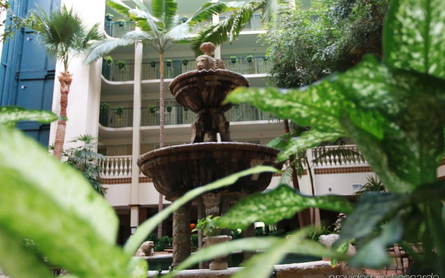 DoubleTree Suites by Hilton Hotel McAllen