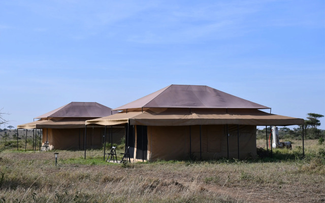 Serengeti Wildebeest Camp