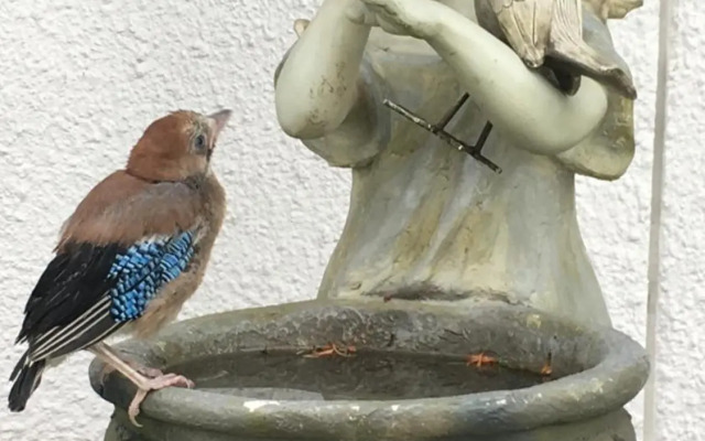 Apartament z prywatnym, krytym basenem