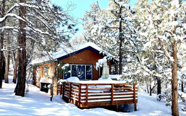 Alpine Whiskey Lodge