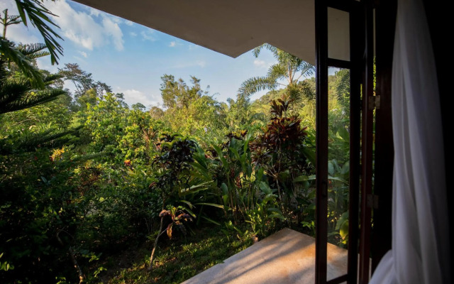 Wareerak Hot Spring & Wellness