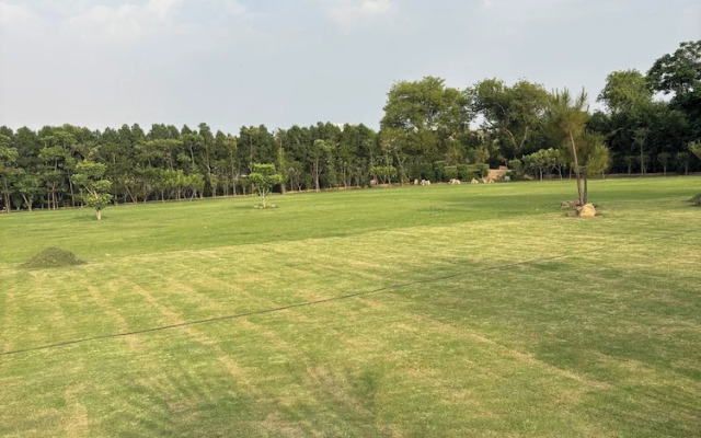 The Greenwood Farm And Lawn -Bijwasan