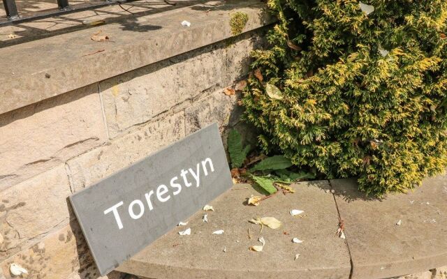 Torestyn