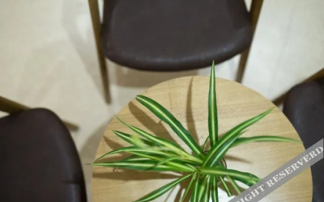 Rose Blooming Hotel(蔷薇花开酒店(青岛国际会展中心店))