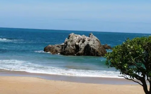 Apartamentos Maradentro