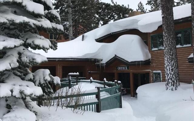 Mountainback #59 dog friendly