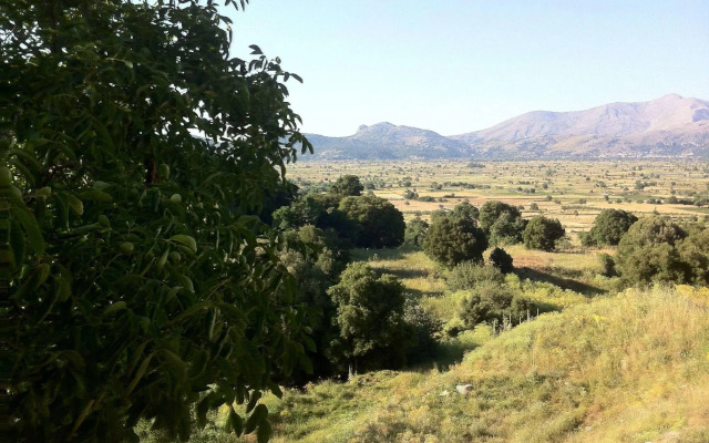 Dionysus Lasithi Plateau