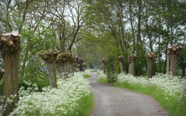 Gastenverblijf Rodenburg