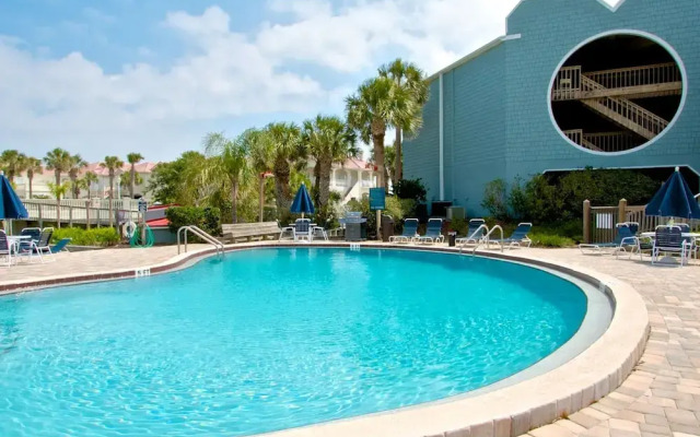 Hibiscus H104 in St Augustine