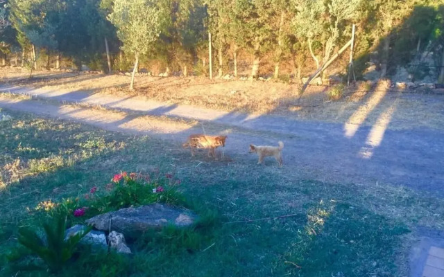 Agriturismo Sogno Latino