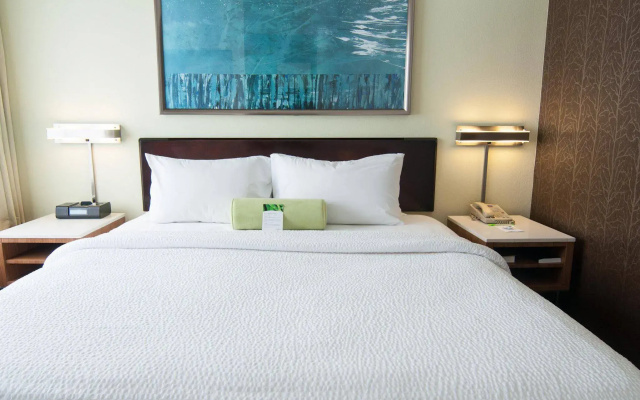 SpringHill Suites by Marriott Pittsburgh Monroeville