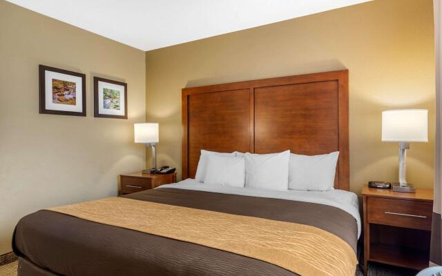 Comfort Inn & Suites Peachtree Corners