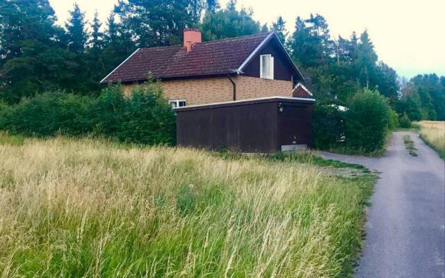 The Cozy Little House