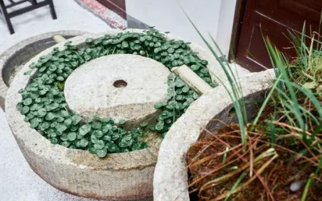 Huameishi Homestay (Liancheng Guanzhai Mountain Scenic Area)