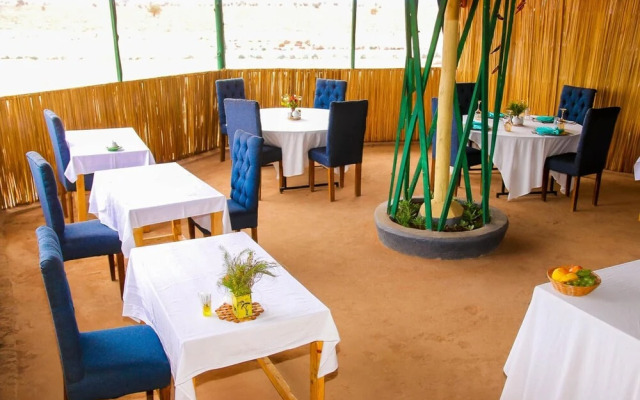 Amanya 2-rooms Lioness Family