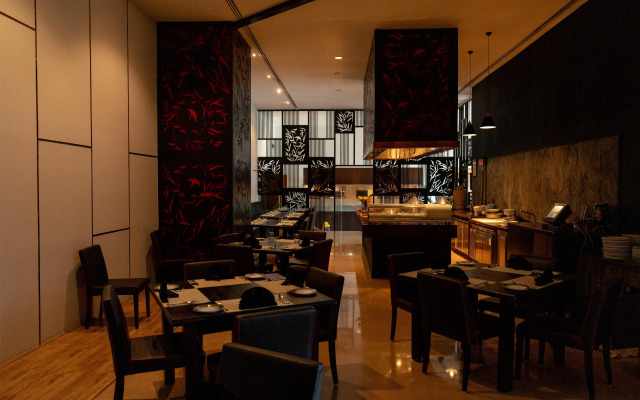 Radisson Blu Plaza Hotel Hyderabad Banjara Hills