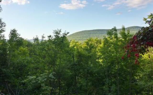 Two Bedroom Apartment at Hunter Mountain