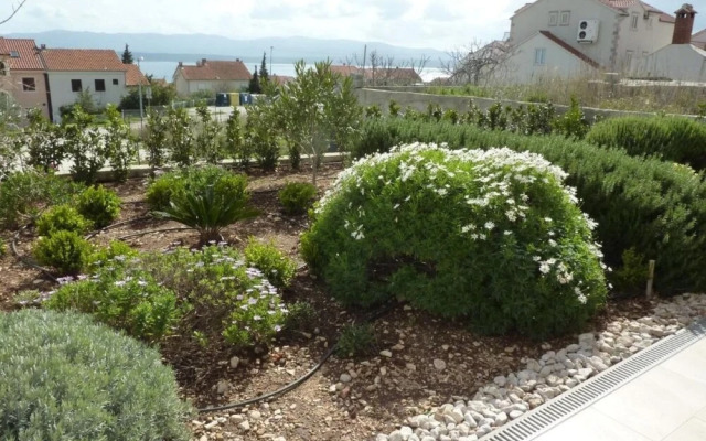 Ivy - Modern With Terrace - A1 Tulipan
