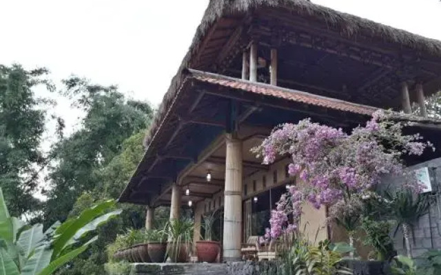 Munduk Don Biyu