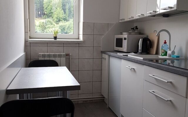 Apartament City Center Grand Loft