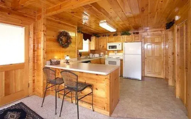 Buddy Bear 249 by Aunt Bug's Cabin Rentals