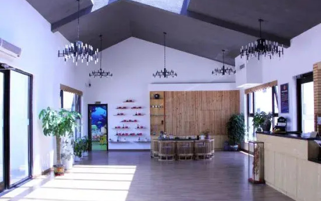 A Tree Hostel