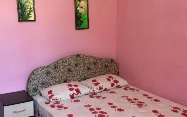 Guest House Alina
