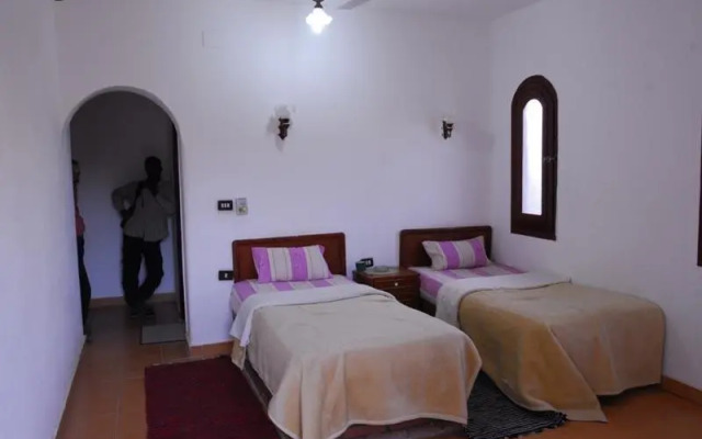 Western Desert Hotel & Safari