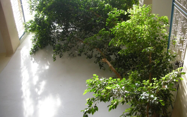 Dar Raha