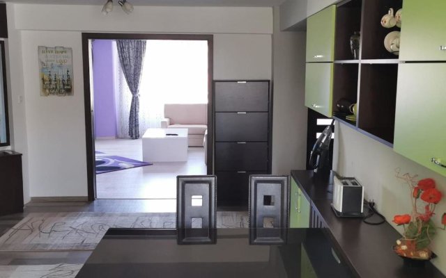 Luxury apartment with two bedrooms and large living room, 100 square meters, city center