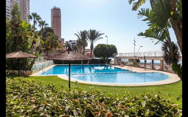 VIP Apartment Olivar Poniente