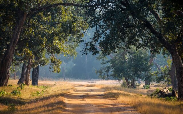 The Untamed Bandhavgarh by TUTC