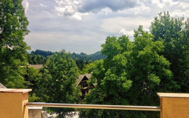 Lovely Apartment in Bled With Fireplace