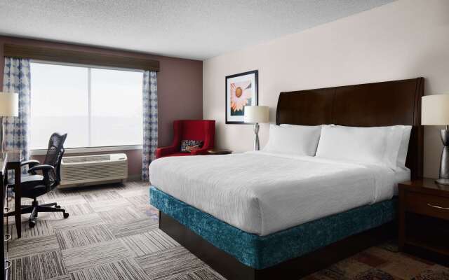 Hilton Garden Inn Denver South Park Meadows Area