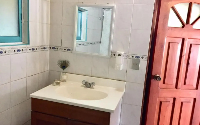 Hostel Raiz