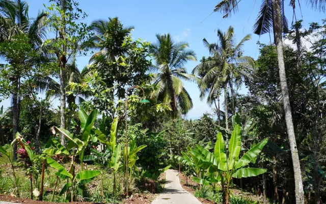 Purwa Ijen