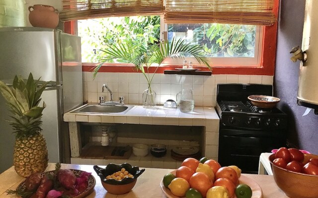 Gorgeous Apartments RG Vallarta