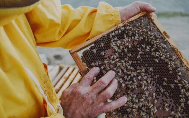 Agriturismo Pelagaccio