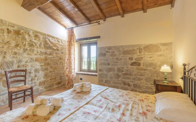 Ulivi 2