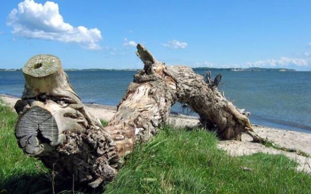 Oma's Küche & Quartier