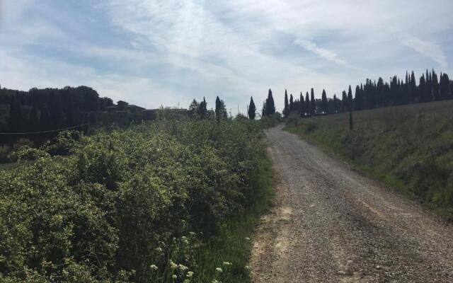 Cordella In Valdorcia Truffle and Olive Oil Resort